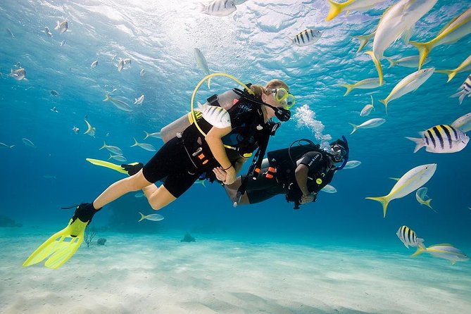 scuba-diving-bali-with
